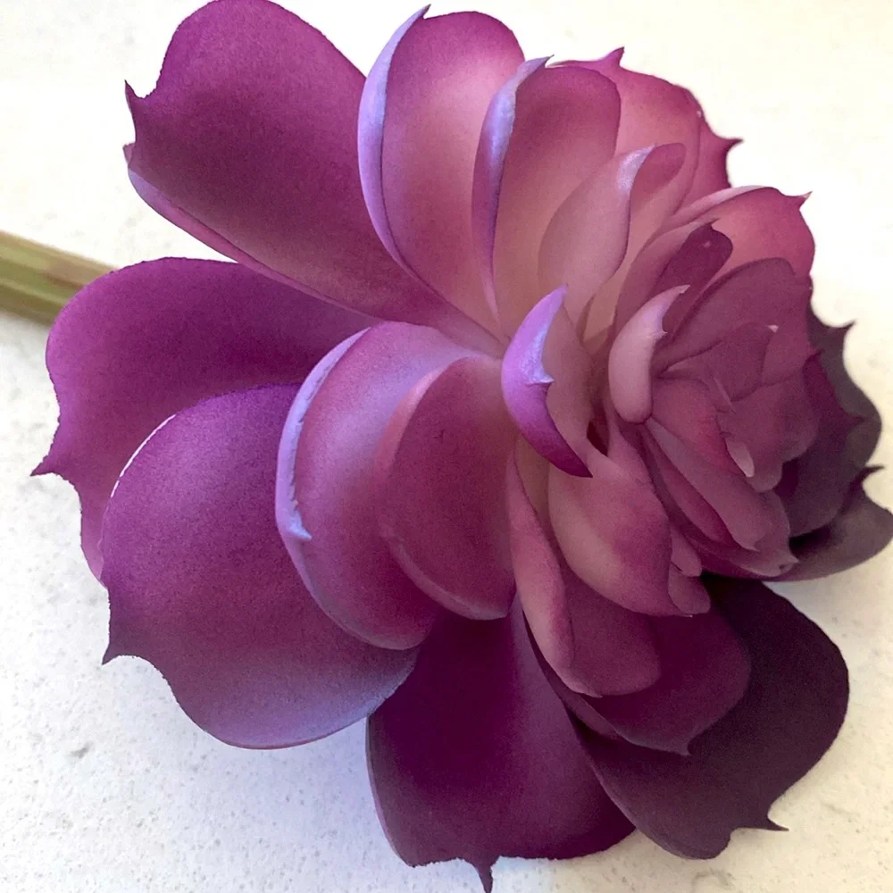 Purple Succulent Flower Accent